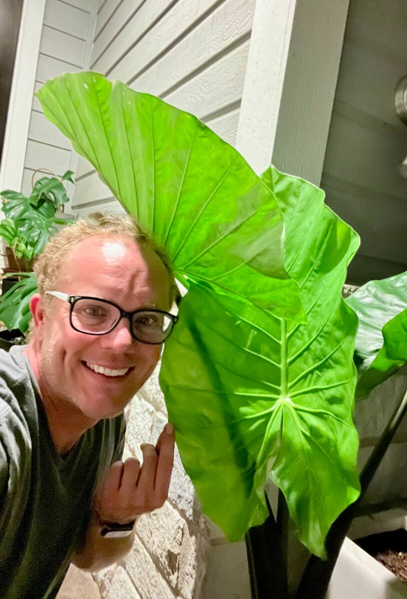 Will Burke with large plant