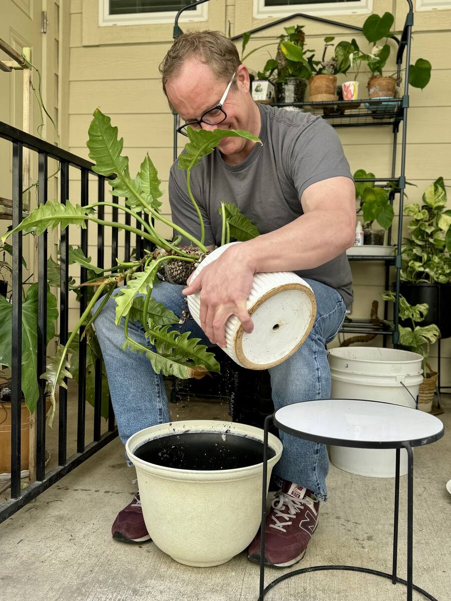Will Burke repotting plants