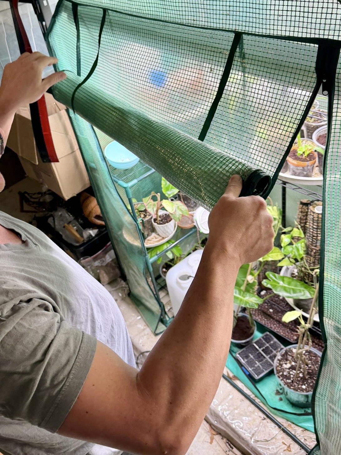 Will Burke of Keep Austin Watered tending plants in his greenhouse in Austin, Texas