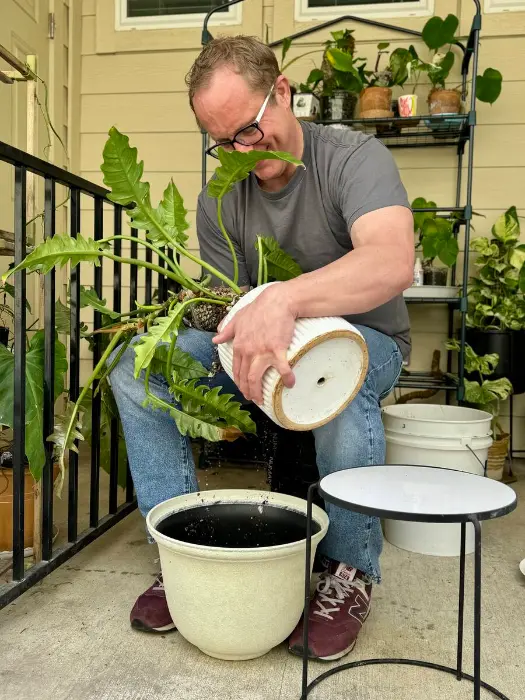 Will Burke plant styling Circle C Ranch TX