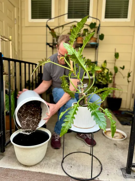 Will Burke plant styling Rob Roy TX