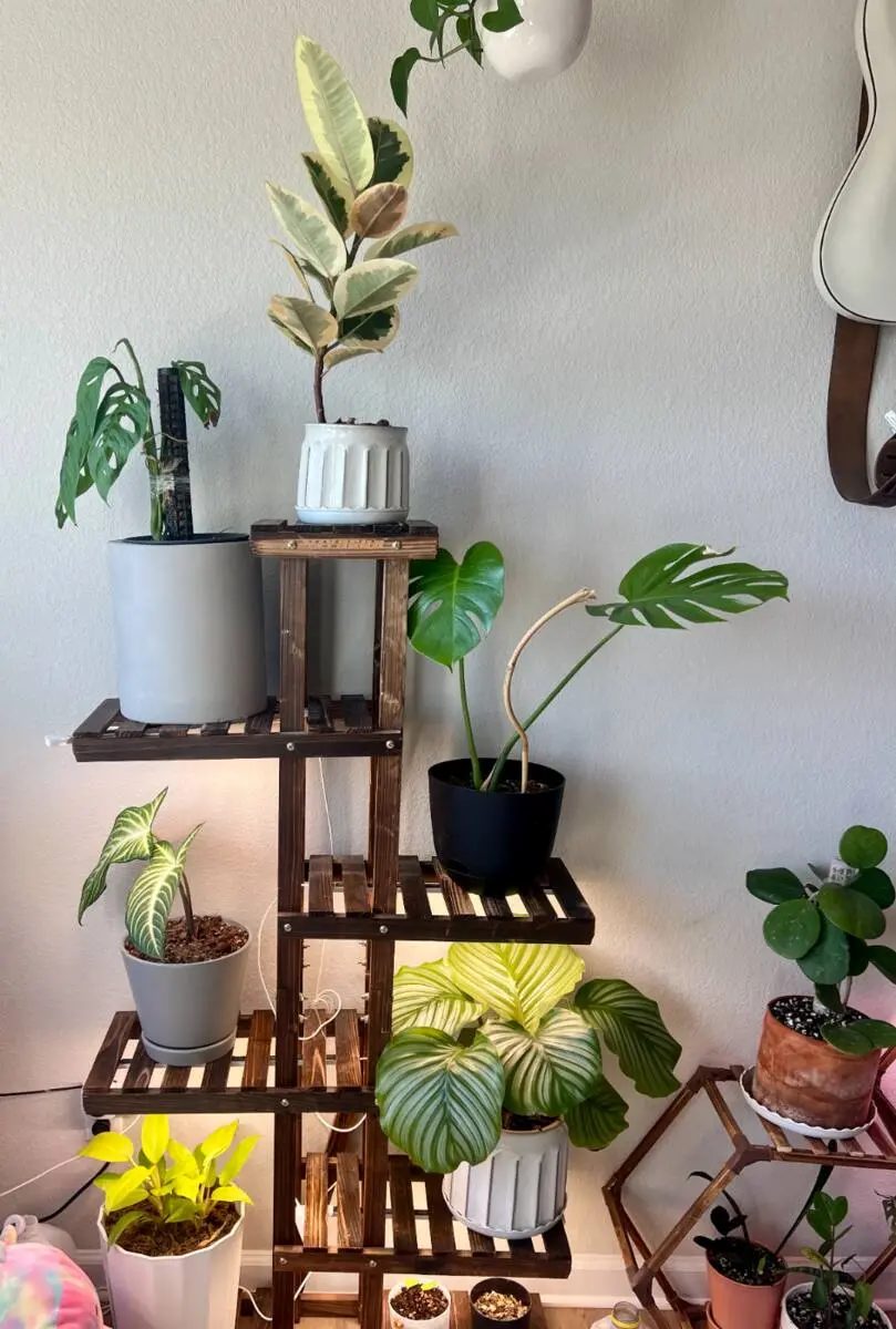 Will's tiered plant shelf